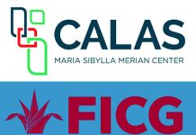 Convocan al Concurso Internacional de Cortometrajes Socioambientales sobre el antropoceno