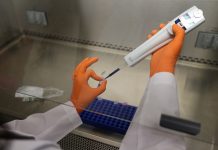 Prueban eficacia de la vacuna contra VIH