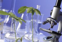 En cuatro décadas, más de seis mil biólogos han egresado del CUCBA