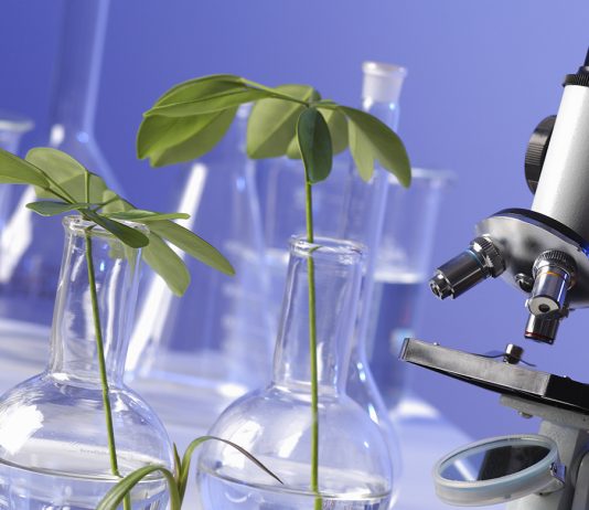 En cuatro décadas, más de seis mil biólogos han egresado del CUCBA