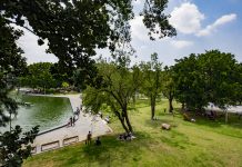 Tan sólo 11 por ciento del municipio de Guadalajara posee áreas verdes