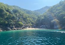 Inicia la actividad del programa Go Routes del CUCosta