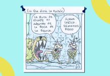 Cartón Jis