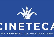 Qué ver en la Cineteca FICG