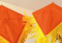 «Nube Naranja Amarilla», el vuelo de la libertad