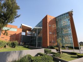 Reconoce Conahcyt en tiempo récord la maestría en Estudios de Género del CUCSH