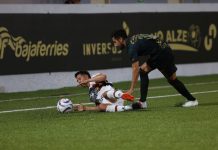 Leones Negros: a recuperar el paso