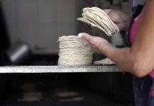 Trabajan en la creación de Clínica de Competencia Económica en Jalisco