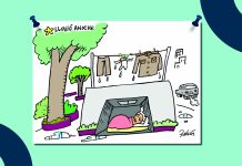 Cartón Falcón