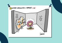 Cartón Falcón