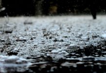UdeG presenta su programa de captación de agua de lluvia