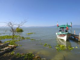 Disminuye la cantidad de agua y aumenta temperatura del Lago de Chapala