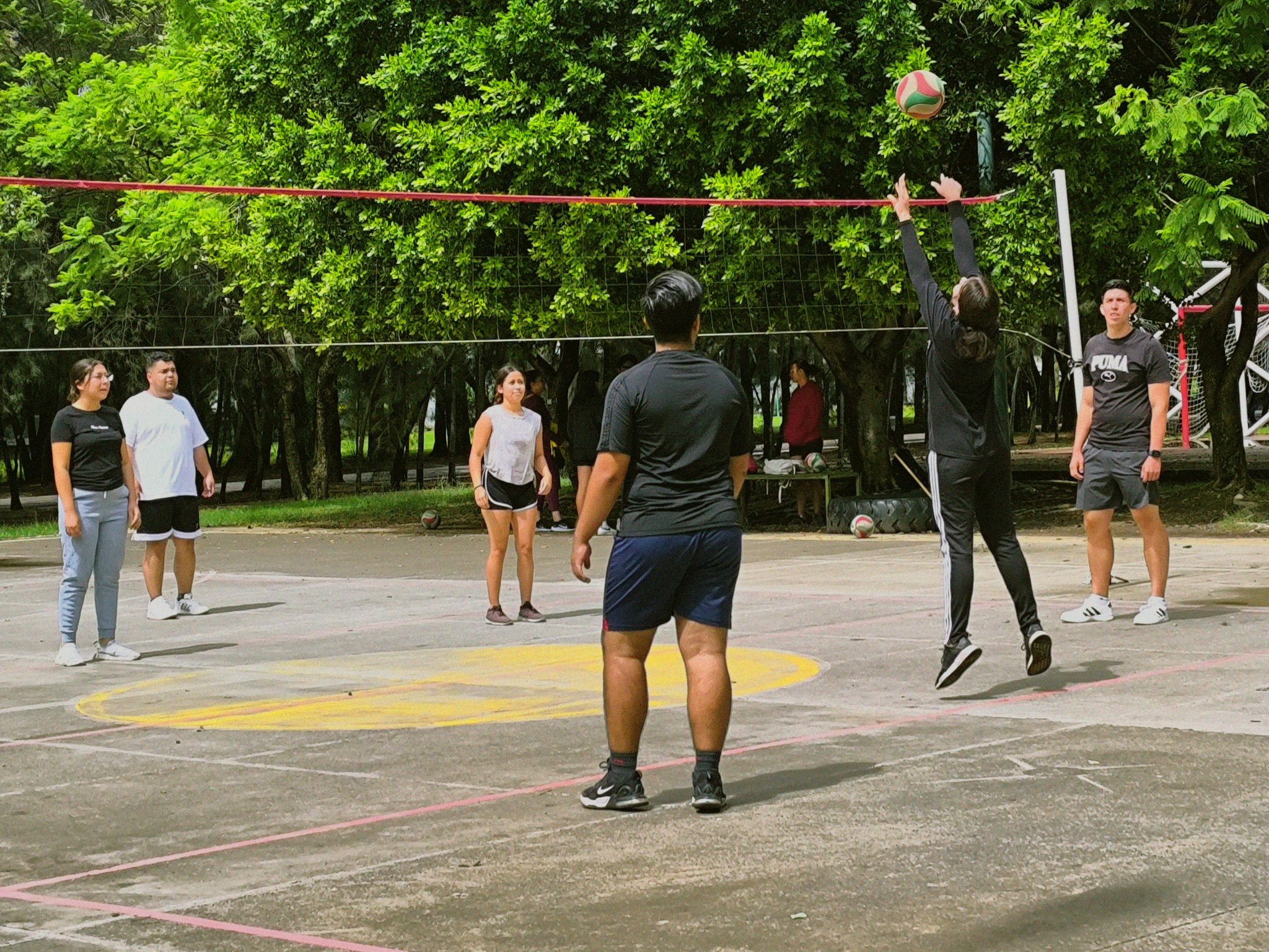voleibol