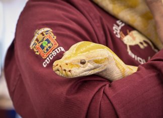 Biodiversidad y vida silvestre se exponen en Rectoría General