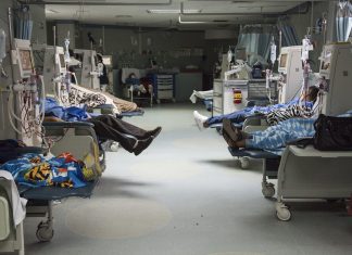 insuficiencia renal
