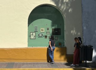 Escaparate Independencia para artistas plásticos