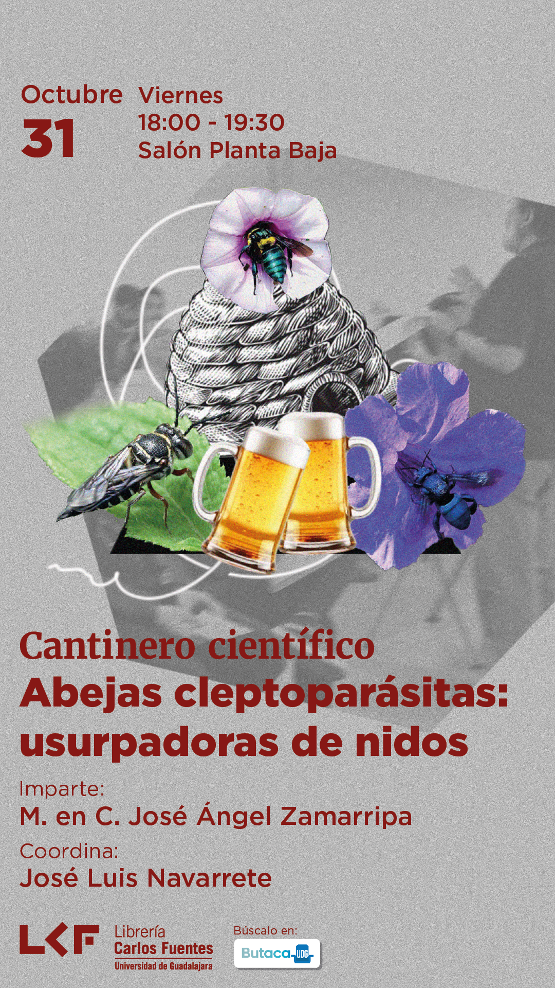 31 10 25 - CANTINERO