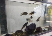 Un laboratorio entre agua, ciencia y vida