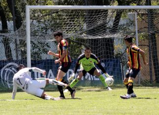 Buscan Leones Negros zona de clasificación