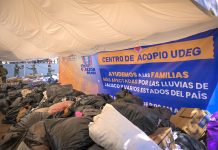 Manada UdeG recolectó más de 36 toneladas de víveres