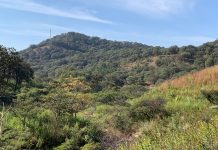 Bosque de La Primavera debe ser parte los Geoparque de la UNESCO