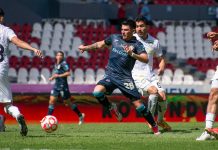 Leones Negros, por la Liguilla