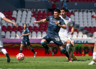 Leones Negros, por la Liguilla