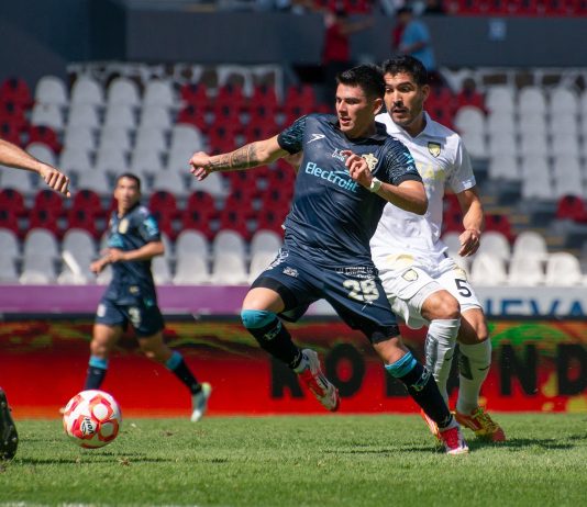 Leones Negros, por la Liguilla