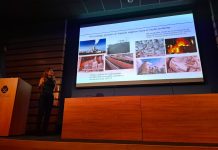 Cáscaras de huevo para estabilizar suelos de manera sostenible