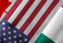 Resiliencia y tensiones frente a la revisión del T-MEC