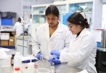 Cuando la curiosidad se convierte en vocación