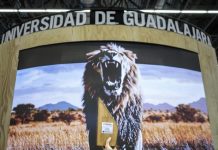 Pabellón de UdeG gana el Premio Platino al Mejor Stand de FIL 2025