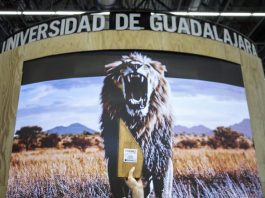 Pabellón de UdeG gana el Premio Platino al Mejor Stand de FIL 2025