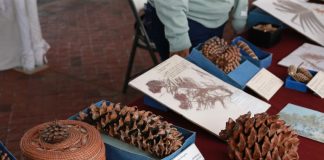 Presentan Colección Biológica Itinerante en explanada de Rectoría General