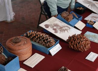 Presentan Colección Biológica Itinerante en explanada de Rectoría General