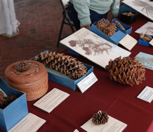 Presentan Colección Biológica Itinerante en explanada de Rectoría General