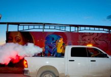 Dengue en México se intensifica cada 5 años, revela investigación del CUTlajomulco