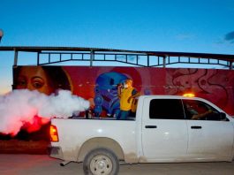 Dengue en México se intensifica cada 5 años, revela investigación del CUTlajomulco