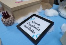 Así se vivió la Expo Emprende en CULagos