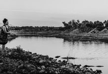 Inauguran exposición “Coordenadas: imagen, identidad y pertenencia”