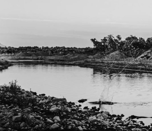 Inauguran exposición “Coordenadas: imagen, identidad y pertenencia”