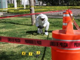 Ofrecen herramientas narrativas a periodistas dentro del EIP 2025