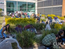 Con jardines polinizadores, CUCSH impulsa acciones en materia medioambiental
