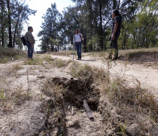 Analizan suelos del Bosque El Centinela para revertir erosión