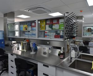 Fotos: Cortesía CUCS