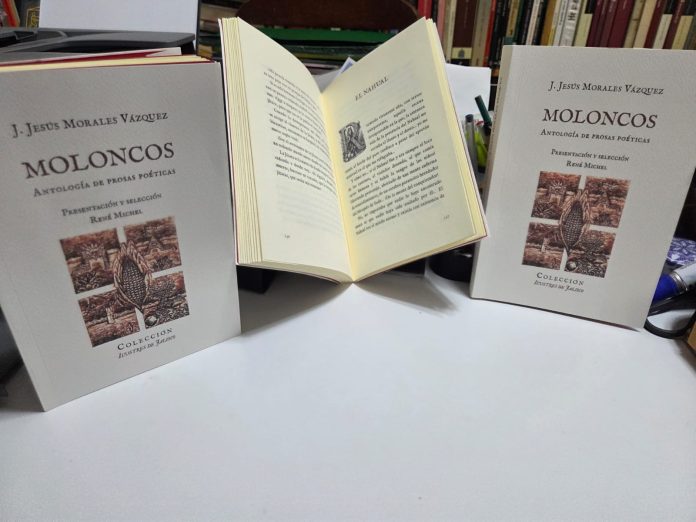 WhatsApp Image 2026-02-03 at 3.32.38 PM