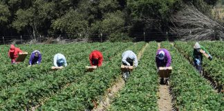 Sector informal, el más afectado con reducción de jornada laboral