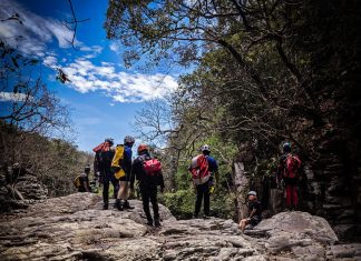 Impulso latinoamericano al cañonismo