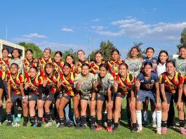 Leonas negras, por la semifinal