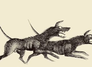 En abril se leerá en voz alta a «Pedro Páramo»